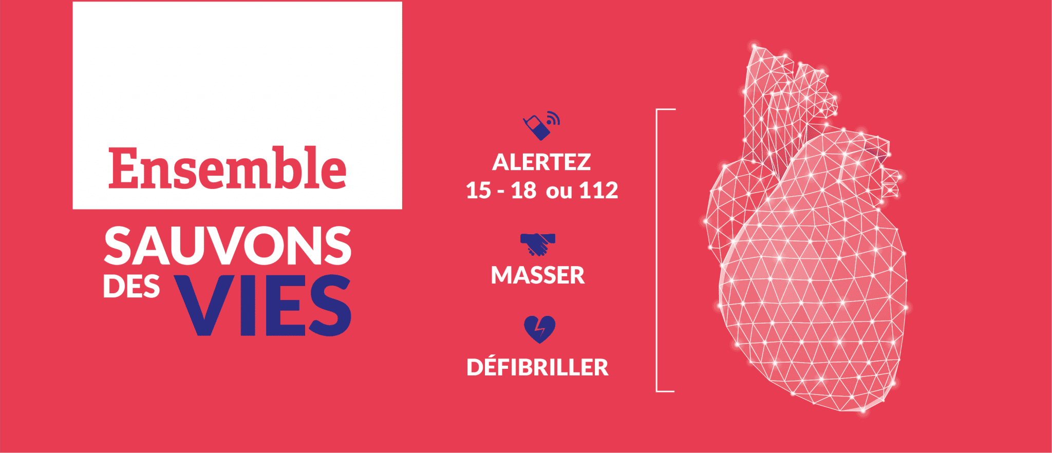 bandeau-petit-defibrillateurs bandeau-petit-defibrillateurs